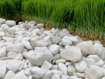 Обзор Huawei P smart Z с большим необрезанным экраном и выдвижной камерой + Розыгрыш смартфона! Обзор Huawei P smart Z с большим необрезанным экраном и выдвижной камерой + Розыгрыш смартфона!