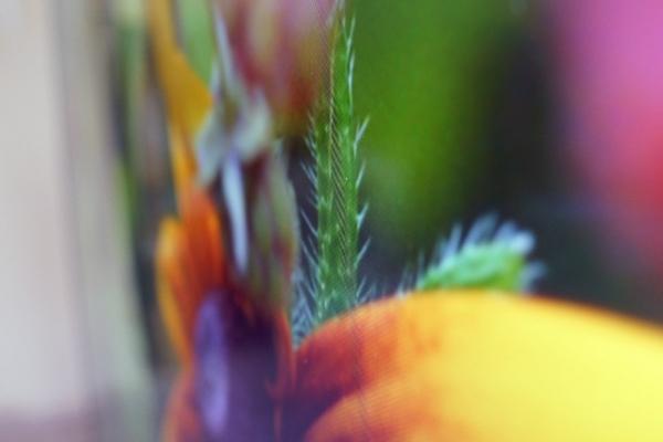 Обзор умного телевизора Xiaomi Mi 4S 55 (L55M5): ударим 4K по ценам Обзор умного телевизора Xiaomi Mi 4S 55 (L55M5): ударим 4K по ценам