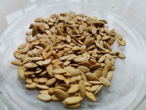 Обзор Honor 20 Pro — работа над ошибками? Обзор Honor 20 Pro — работа над ошибками?