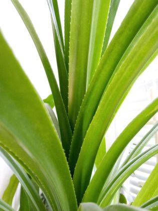 Обзор Tecno Pop 2S Pro - бюджетник стоимостью до $100 Обзор Tecno Pop 2S Pro - бюджетник стоимостью до $100