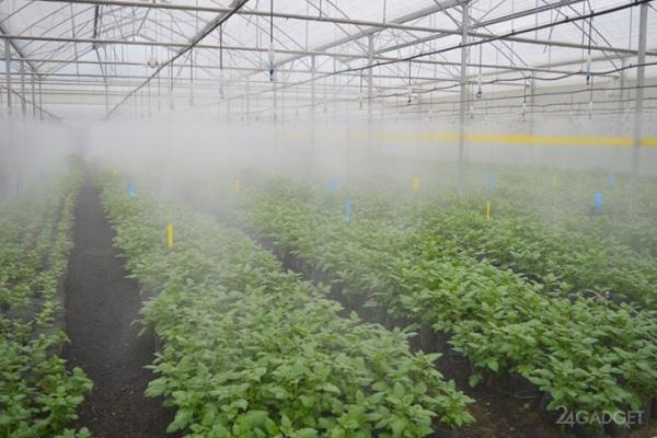 Учёные придумали, как создать на Марсе обитаемые районы (3 фото) Учёные придумали, как создать на Марсе обитаемые районы (3 фото)