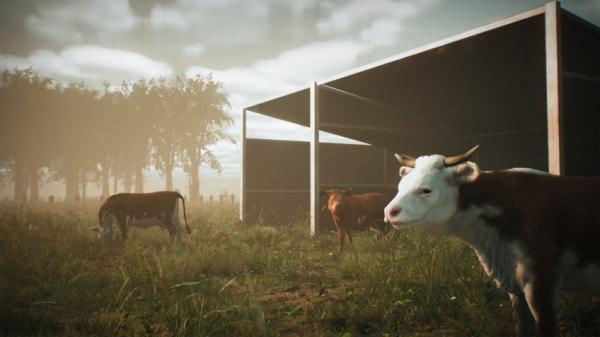 Вегетарианцы на охоте: анонсирована Morels: The Hunt Вегетарианцы на охоте: анонсирована Morels: The Hunt