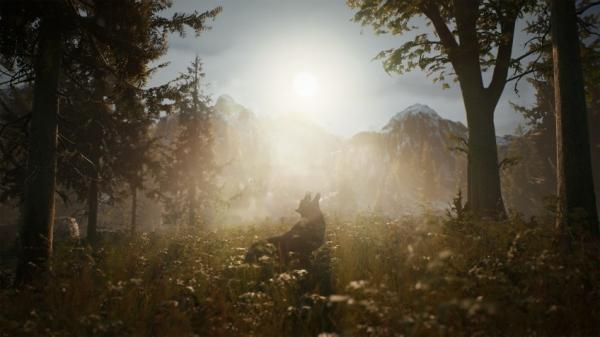 Вегетарианцы на охоте: анонсирована Morels: The Hunt Вегетарианцы на охоте: анонсирована Morels: The Hunt