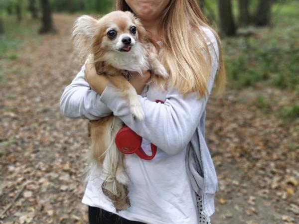 Обзор Xiaomi Mi A3: смартфон, в котором мы жестоко ошиблись Обзор Xiaomi Mi A3: смартфон, в котором мы жестоко ошиблись