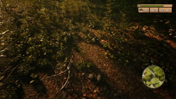 Вегетарианцы на охоте: анонсирована Morels: The Hunt Вегетарианцы на охоте: анонсирована Morels: The Hunt