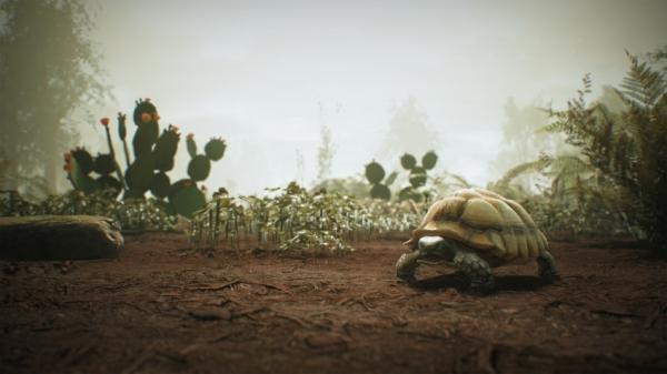 Вегетарианцы на охоте: анонсирована Morels: The Hunt Вегетарианцы на охоте: анонсирована Morels: The Hunt