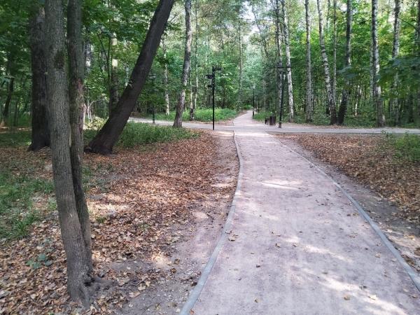 Обзор Samsung Galaxy Tab S6: планшет, который вам понравится Обзор Samsung Galaxy Tab S6: планшет, который вам понравится