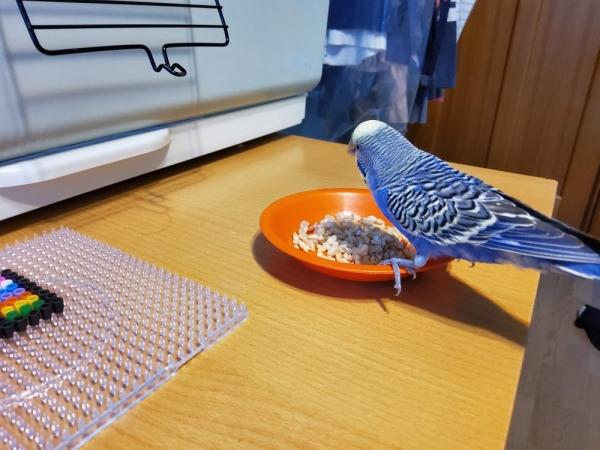 Обзор Samsung Galaxy Tab S6: планшет, который вам понравится Обзор Samsung Galaxy Tab S6: планшет, который вам понравится