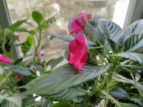 Обзор Xiaomi Mi A3: смартфон, в котором мы жестоко ошиблись Обзор Xiaomi Mi A3: смартфон, в котором мы жестоко ошиблись