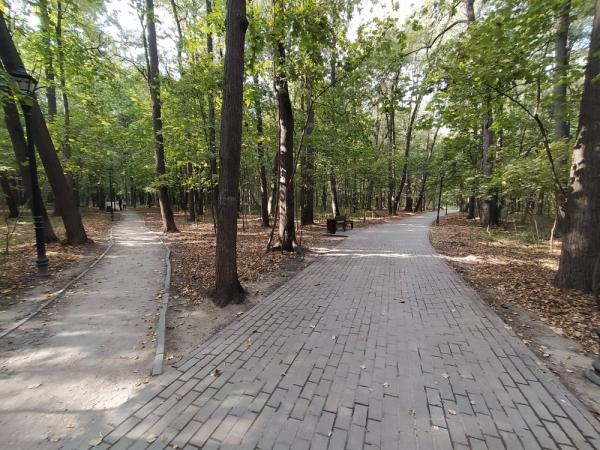 Обзор Xiaomi Mi A3: смартфон, в котором мы жестоко ошиблись Обзор Xiaomi Mi A3: смартфон, в котором мы жестоко ошиблись