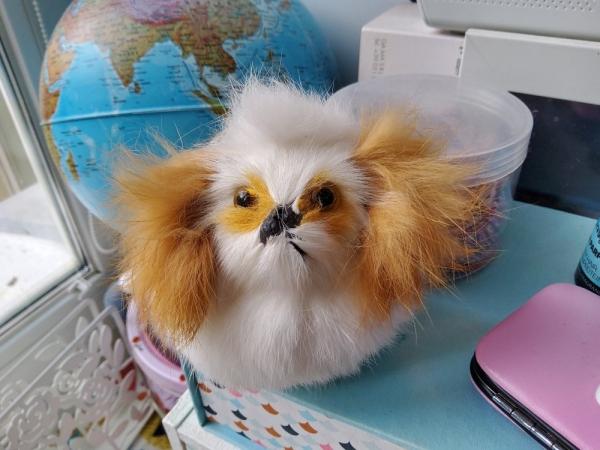 Обзор Samsung Galaxy Tab S6: планшет, который вам понравится Обзор Samsung Galaxy Tab S6: планшет, который вам понравится