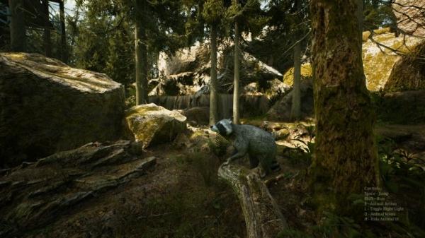 Вегетарианцы на охоте: анонсирована Morels: The Hunt Вегетарианцы на охоте: анонсирована Morels: The Hunt