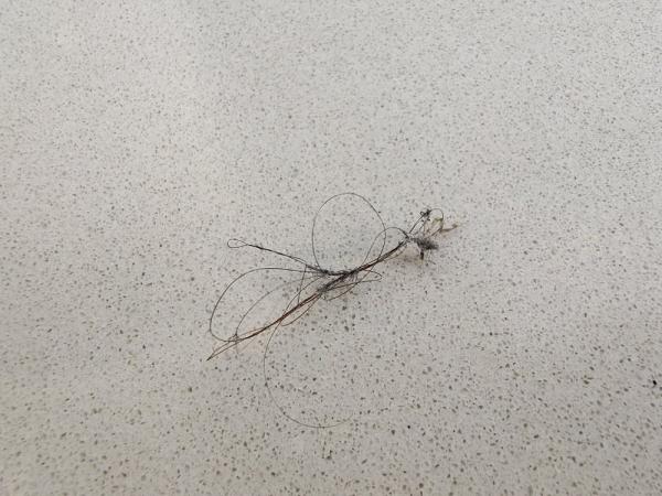 Предварительный обзор Vivo Nex 3: удивительный смартфон со «стекающим» экраном и полностью сенсорным управлением Предварительный обзор Vivo Nex 3: удивительный смартфон со «стекающим» экраном и полностью сенсорным управлением