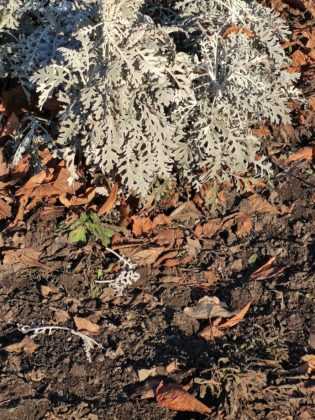 Обзор Xiaomi Mi Note 10 — фотофлагман с камерой 108 Мп Обзор Xiaomi Mi Note 10 — фотофлагман с камерой 108 Мп