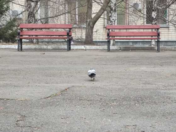 Обзор Xiaomi Mi Note 10 — фотофлагман с камерой 108 Мп Обзор Xiaomi Mi Note 10 — фотофлагман с камерой 108 Мп