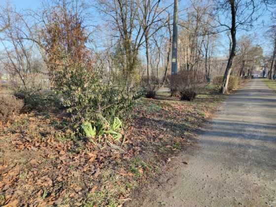 Обзор Xiaomi Mi Note 10 — фотофлагман с камерой 108 Мп Обзор Xiaomi Mi Note 10 — фотофлагман с камерой 108 Мп