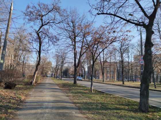 Обзор Xiaomi Mi Note 10 — фотофлагман с камерой 108 Мп Обзор Xiaomi Mi Note 10 — фотофлагман с камерой 108 Мп