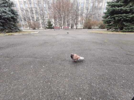 Обзор Xiaomi Mi Note 10 — фотофлагман с камерой 108 Мп Обзор Xiaomi Mi Note 10 — фотофлагман с камерой 108 Мп