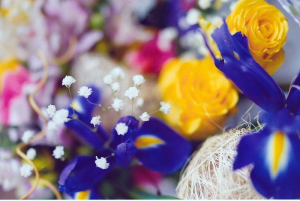 Обзор HP Smart Tank 615 Wireless: МФУ для тех, кто много печатает Обзор HP Smart Tank 615 Wireless: МФУ для тех, кто много печатает