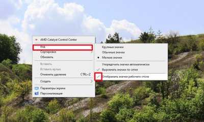 Как и зачем чистить рабочий стол Windows Как и зачем чистить рабочий стол Windows