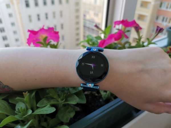 Встречают по одёжке. Smarterra Vega Встречают по одёжке. Smarterra Vega