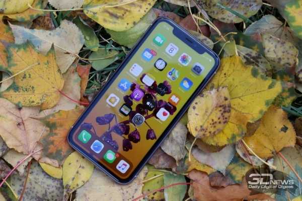 Обзор iPhone 11: Apple против жабы Обзор iPhone 11: Apple против жабы