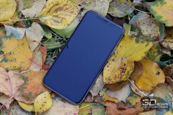 Обзор iPhone 11: Apple против жабы Обзор iPhone 11: Apple против жабы