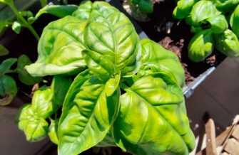 Обзор Xiaomi Redmi Pad Pro: этот планшет отвечает большинству потребностей Обзор Xiaomi Redmi Pad Pro: этот планшет отвечает большинству потребностей