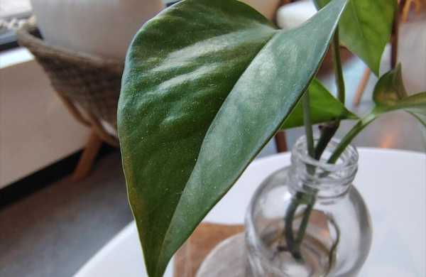 Обзор Motorola Moto G Stylus (2025): надёжного и функционального смартфона со стилусом Обзор Motorola Moto G Stylus (2025): надёжного и функционального смартфона со стилусом