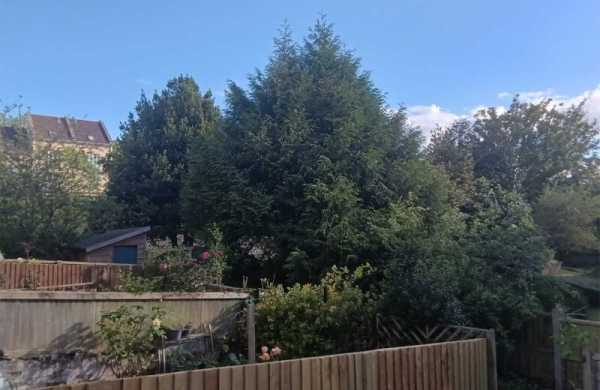 OnePlus Pad Go: обзор планшета для мультимедиа с мощными динамиками OnePlus Pad Go: обзор планшета для мультимедиа с мощными динамиками