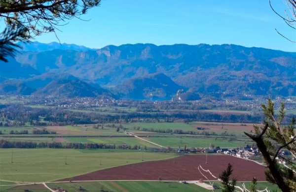 Обзор TCL 50 NxtPaper: смартфона для чтения книг с режимом Max Ink Обзор TCL 50 NxtPaper: смартфона для чтения книг с режимом Max Ink