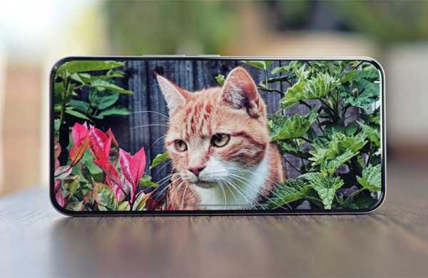 Обзор Honor 400 Pro: недорогого камерофона для профессиональных портретов Обзор Honor 400 Pro: недорогого камерофона для профессиональных портретов