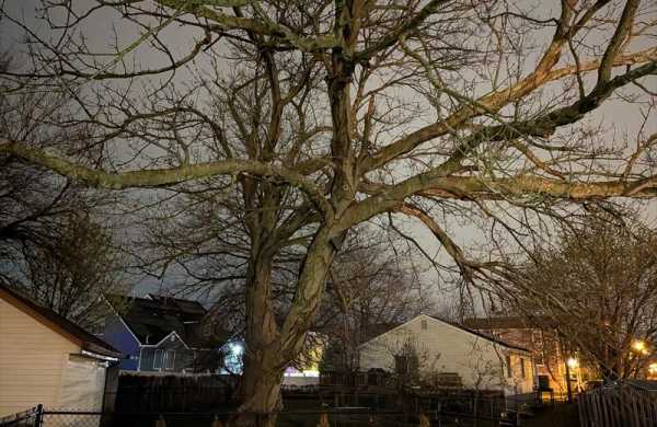 Обзор Google Pixel 9a: компактного смартфона для съёмки и любителей ИИ Обзор Google Pixel 9a: компактного смартфона для съёмки и любителей ИИ