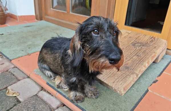 Обзор Xiaomi Pad 7 Pro: китайский планшета для работы в стиле последних iPad Обзор Xiaomi Pad 7 Pro: китайский планшета для работы в стиле последних iPad