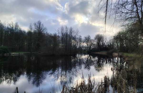 Обзор Honor Magic 7 Lite: автономного смартфона, который во многом устарел Обзор Honor Magic 7 Lite: автономного смартфона, который во многом устарел