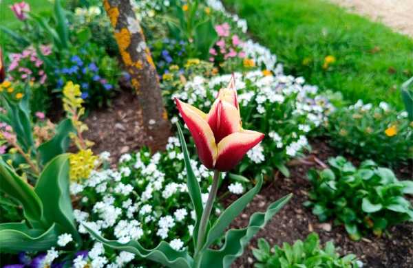 Обзор Xiaomi Poco M7 Pro: спорного смартфона, который едва ли достоин звания Pro Обзор Xiaomi Poco M7 Pro: спорного смартфона, который едва ли достоин звания Pro