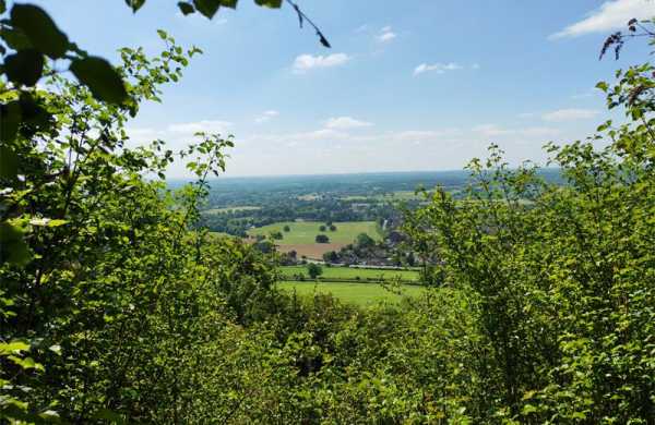 Обзор Honor 400 5G: стильного смартфона середнячка с камерой 200 Мп Обзор Honor 400 5G: стильного смартфона середнячка с камерой 200 Мп