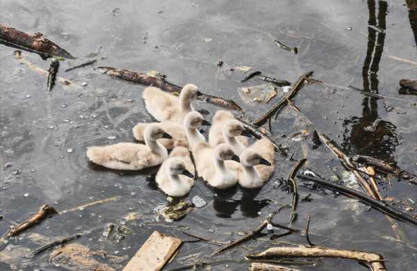 Обзор Honor 400 Pro: недорогого камерофона для профессиональных портретов Обзор Honor 400 Pro: недорогого камерофона для профессиональных портретов