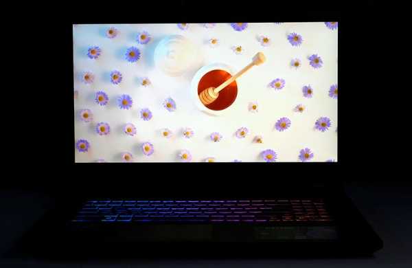 Обзор MSI Katana 17: большой и мощный ноутбук не должен стоить состояние Обзор MSI Katana 17: большой и мощный ноутбук не должен стоить состояние