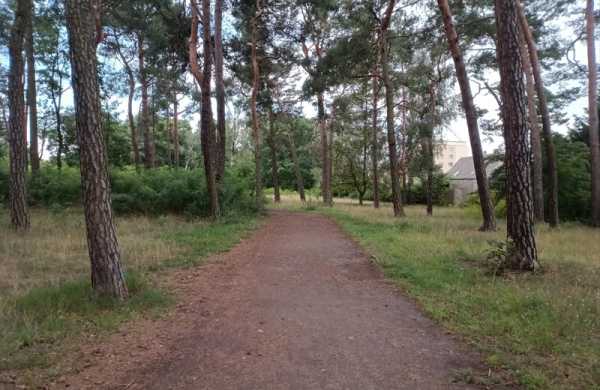 Обзор Teclast T65 Max: дешёвого планшета с огромным дисплеем для мультимедиа Обзор Teclast T65 Max: дешёвого планшета с огромным дисплеем для мультимедиа