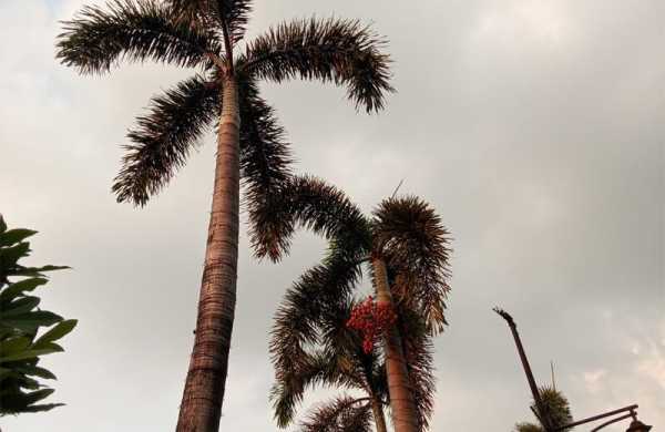 Обзор Xiaomi Redmi Pad SE 8.7: бюджетного планшета ненамного крупнее современных смартфонов Обзор Xiaomi Redmi Pad SE 8.7: бюджетного планшета ненамного крупнее современных смартфонов