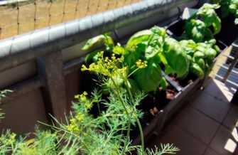 Обзор Xiaomi Redmi Pad Pro: этот планшет отвечает большинству потребностей Обзор Xiaomi Redmi Pad Pro: этот планшет отвечает большинству потребностей