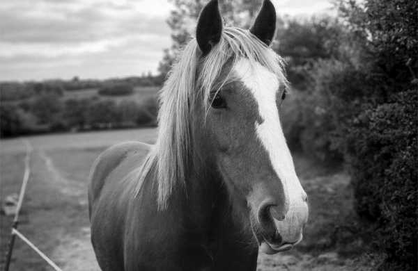 Обзор Honor 400 5G: стильного смартфона середнячка с камерой 200 Мп Обзор Honor 400 5G: стильного смартфона середнячка с камерой 200 Мп