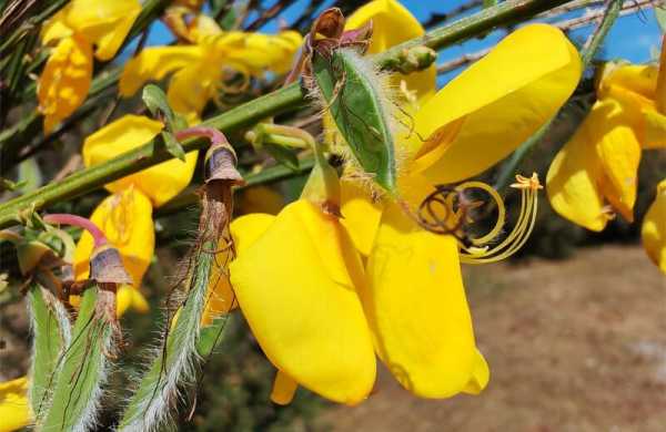 Обзор Honor 400 5G: стильного смартфона середнячка с камерой 200 Мп Обзор Honor 400 5G: стильного смартфона середнячка с камерой 200 Мп