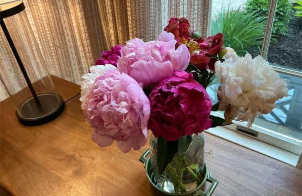 Обзор Apple iPad Air 13 (2024): флагманского планшета, который мощнее ноутбуков и ПК Обзор Apple iPad Air 13 (2024): флагманского планшета, который мощнее ноутбуков и ПК