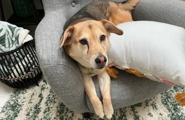 Обзор Apple iPad Air 13 (2024): флагманского планшета, который мощнее ноутбуков и ПК Обзор Apple iPad Air 13 (2024): флагманского планшета, который мощнее ноутбуков и ПК