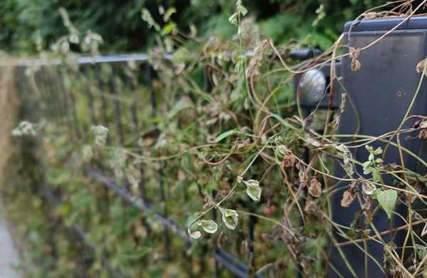 Обзор Infinix NOTE 12 PRO: просто хороший смартфон по приятной цене Обзор Infinix NOTE 12 PRO: просто хороший смартфон по приятной цене