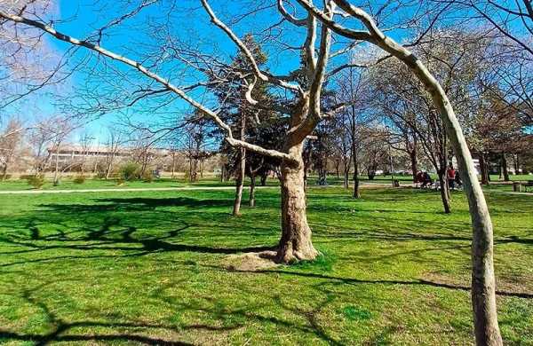 Обзор Samsung Galaxy A34 5G: смартфона в котором практичность и доступность важнее стиля Обзор Samsung Galaxy A34 5G: смартфона в котором практичность и доступность важнее стиля