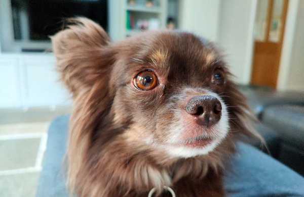 Обзор Xiaomi 12 Pro: самый плавный и производительный смартфон Xiaomi Обзор Xiaomi 12 Pro: самый плавный и производительный смартфон Xiaomi