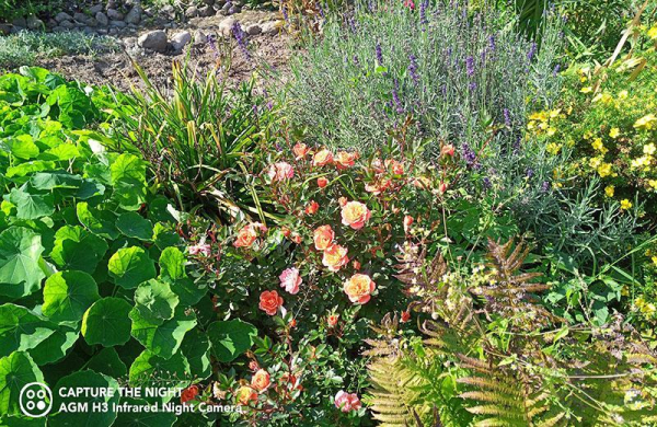 Обзор AGM H3: недорогой защищённый смартфон с камерой ночного видения Обзор AGM H3: недорогой защищённый смартфон с камерой ночного видения